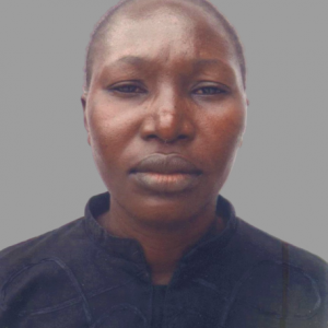 Hon. Justice O. M. Olangunju